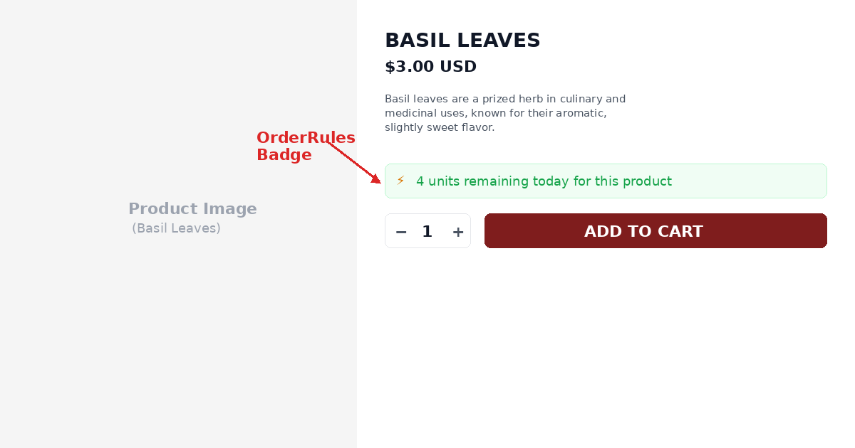 OrderRules storefront widget showing "45 orders remaining today" with custom messaging